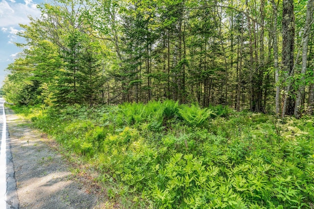 MAP4 S Shore Dr, Owls Head, ME 04854