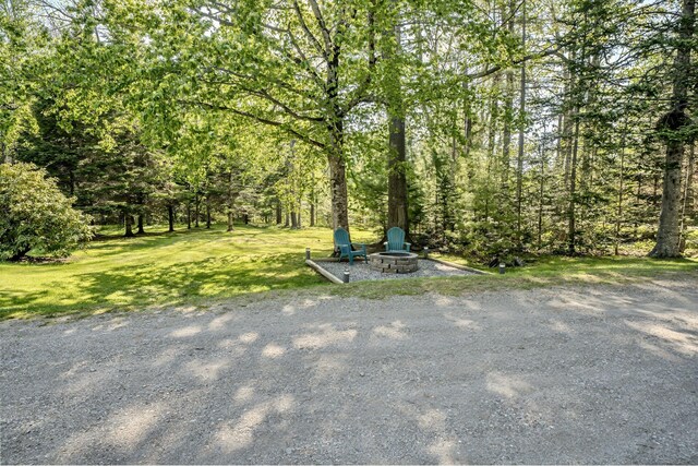 3 Reeds Ln, Belfast, ME 04915 - view of grassy yard featuring a fire pit and a forest view