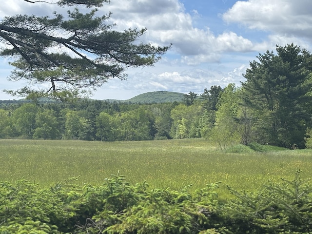 3 Reeds Ln, Belfast, ME 04915 - view of mountain backdrop featuring a forest