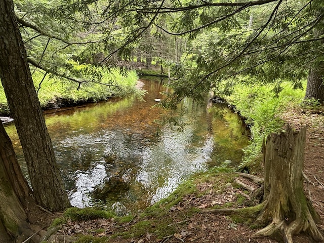 M-R22/L14 Greenwoods Rd, Sumner, ME 04292