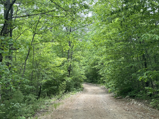 M-R22/L14 Greenwoods Rd, Sumner, ME 04292