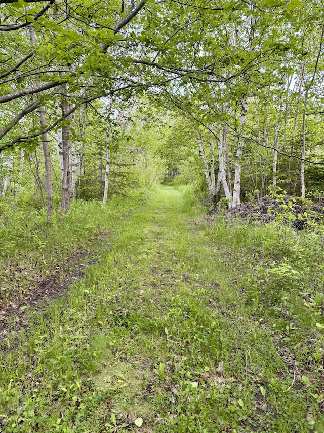 21 Indian Rd, Eastport, ME 04631
