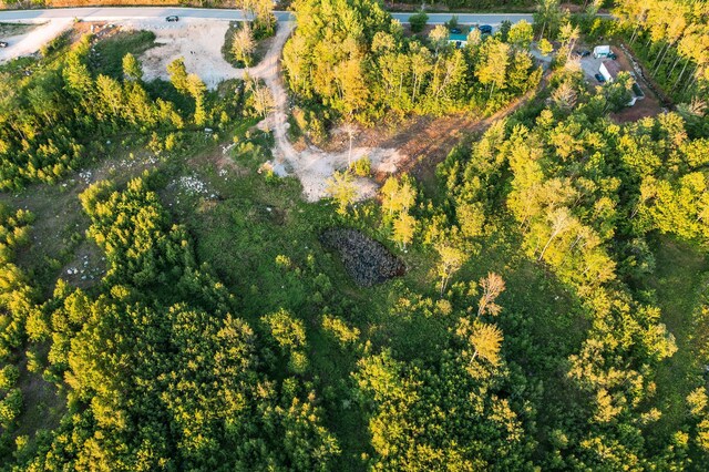 R16-13.2 Ellingwood Rd, Paris, ME 04281 - photo 6