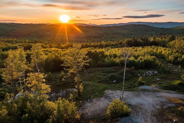 R16-13.2 Ellingwood Rd, Paris, ME 04281 - photo 7