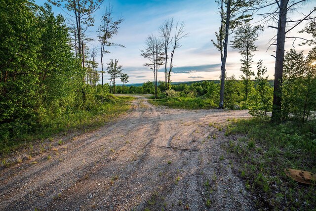 R16-13.2 Ellingwood Rd, Paris, ME 04281 - photo 9