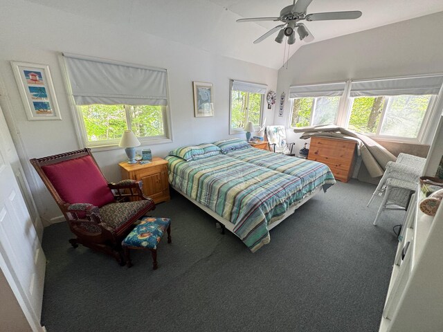 56 Red Gate Ln, Acton, ME 04001