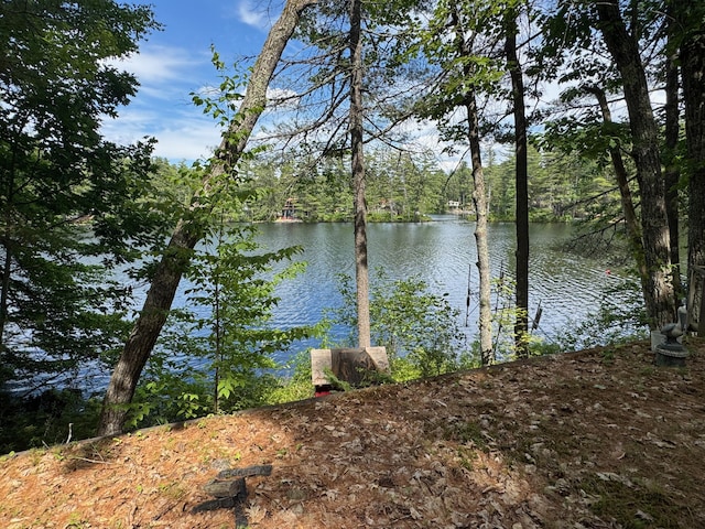 56 Red Gate Ln, Acton, ME 04001 - photo 5