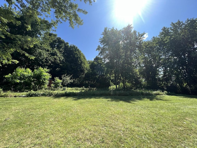 52 Peary Ter, South Portland, ME 04106 - view of green lawn