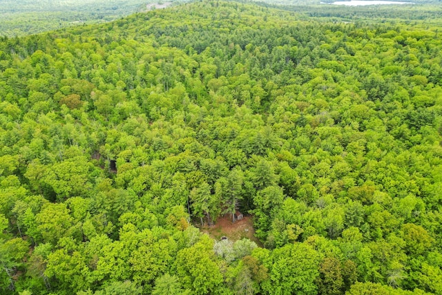 398 Hopper Rd, Acton, ME 04001 - drone / aerial view of a heavily wooded area