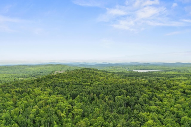 398 Hopper Rd, Acton, ME 04001 - drone / aerial view of a forest and mountains