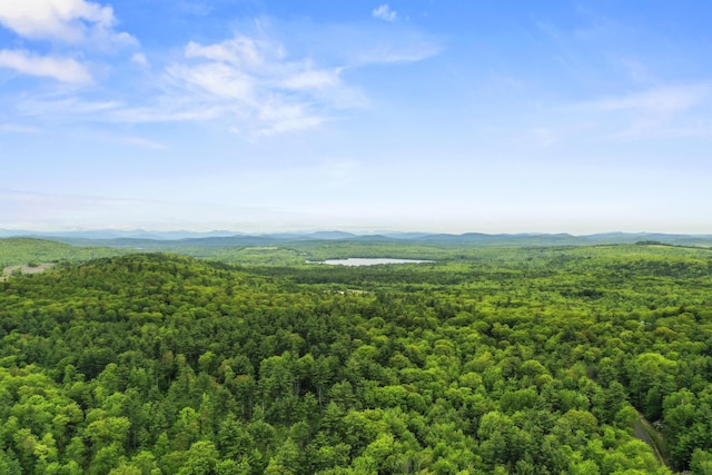 398 Hopper Rd, Acton, ME 04001 - aerial view of a heavily wooded area and a mountainous background