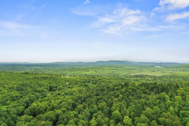 398 Hopper Rd, Acton, ME 04001 - bird's eye view of a forest and mountains