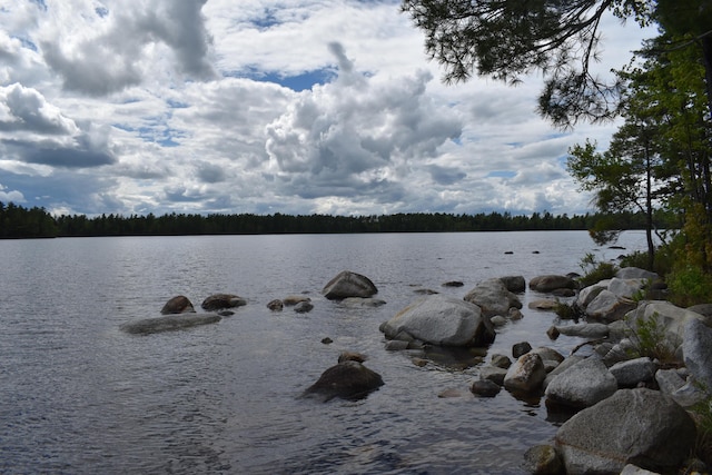 121 Loop Rd, Lincoln, ME 04457 - water view featuring a heavily wooded area