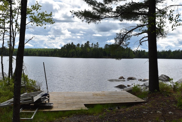 121 Loop Rd, Lincoln, ME 04457 - dock area with a water view and a forest view