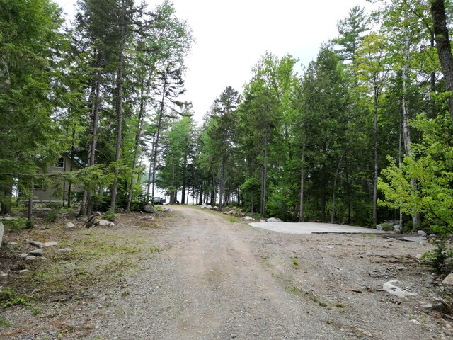 121 Loop Rd, Lincoln, ME 04457 - view of road