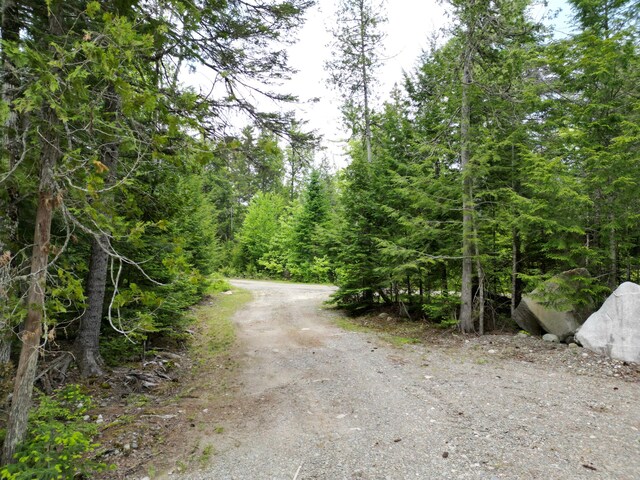 121 Loop Rd, Lincoln, ME 04457 - view of road with a view of trees