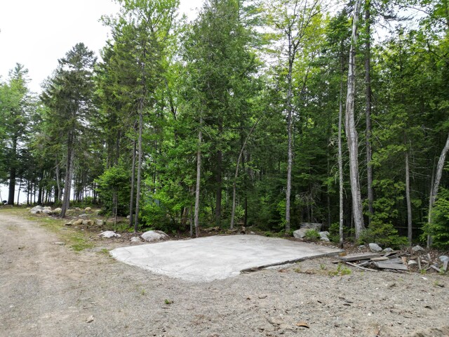 121 Loop Rd, Lincoln, ME 04457 - view of yard