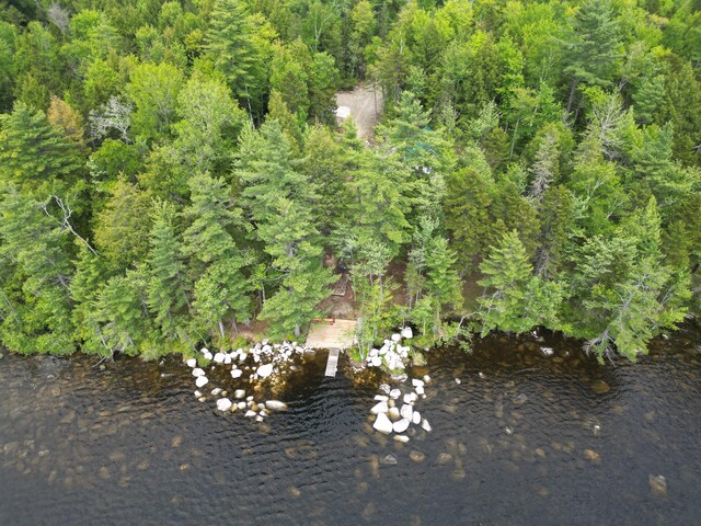 121 Loop Rd, Lincoln, ME 04457 - aerial view of property and surrounding area