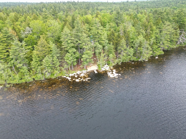 121 Loop Rd, Lincoln, ME 04457 - aerial view of property and surrounding area with a heavily wooded area and a nearby body of water