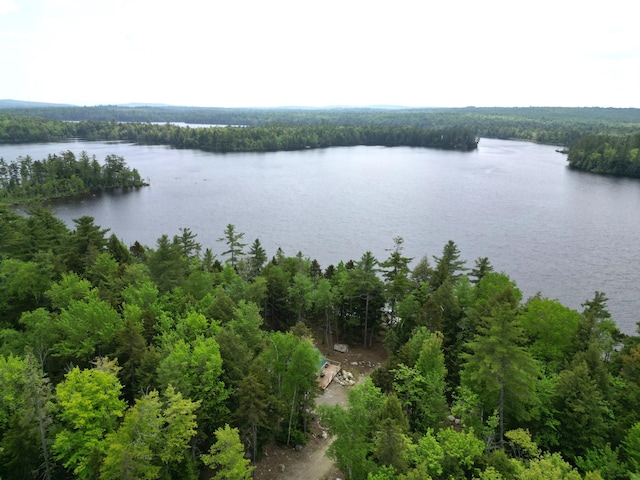121 Loop Rd, Lincoln, ME 04457 - bird's eye view of a nearby body of water and a forest