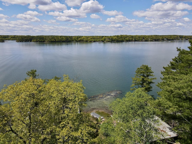 51 Rock Haven Dr, West Bath, ME 04530 - water view with a forest