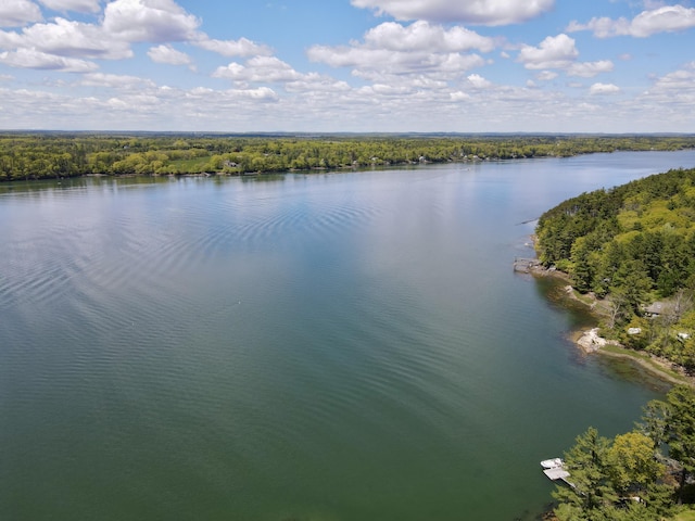 51 Rock Haven Dr, West Bath, ME 04530 - water view featuring a forest