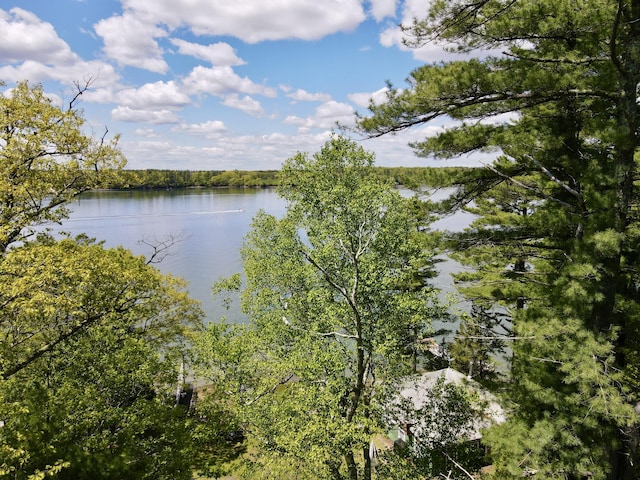 51 Rock Haven Dr, West Bath, ME 04530 - water view featuring a heavily wooded area