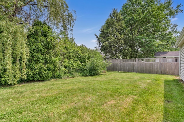 61 Carlyle Rd, Portland, ME 04103 - view of yard