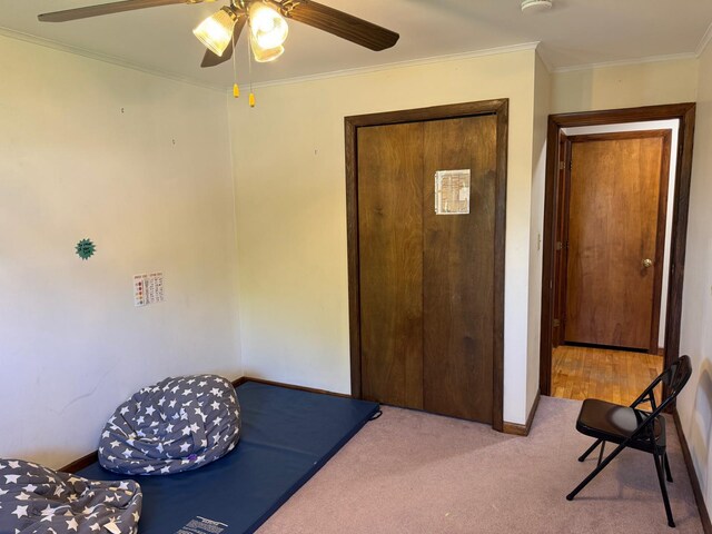 3 Hillside St, Presque Isle, ME 04769 - photo 28