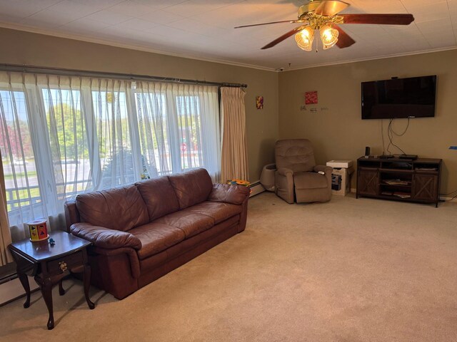 3 Hillside St, Presque Isle, ME 04769 - photo 21