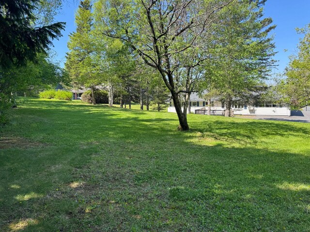 3 Hillside St, Presque Isle, ME 04769 - photo 11