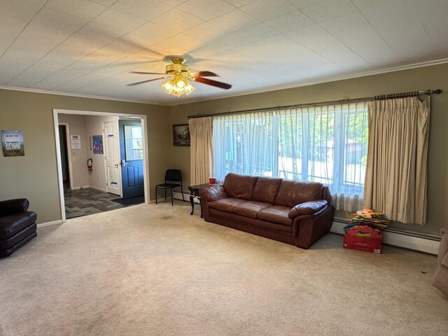 3 Hillside St, Presque Isle, ME 04769 - photo 22