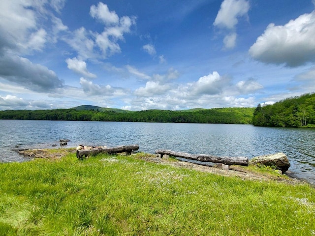16 Mellen Ln, Wilton, ME 04294 - water view featuring a heavily wooded area