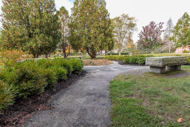 75 Mcauley Way Unit 307, Portland, ME 04103 - view of property's community