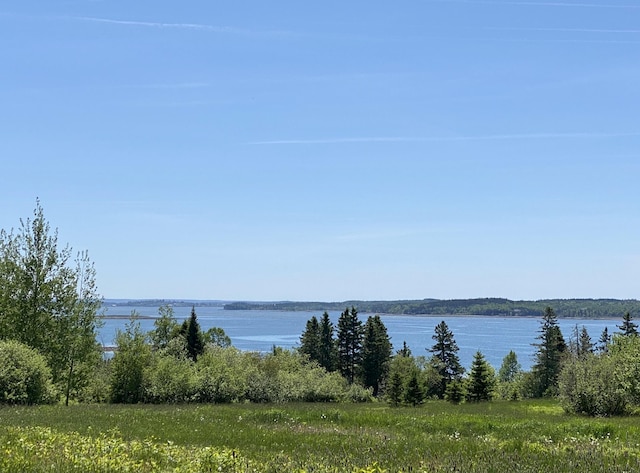 91 Lincoln Cove Rd, Perry, ME 04667