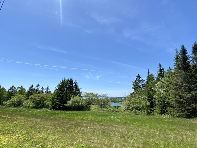 91 Lincoln Cove Rd, Perry, ME 04667