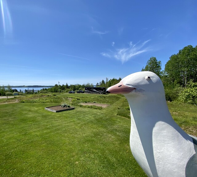91 Lincoln Cove Rd, Perry, ME 04667
