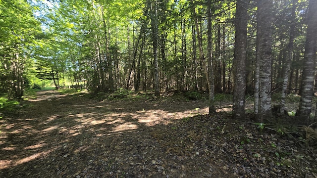 55.4AC Fire Rd, Linneus, ME 04730 - view of wooded area