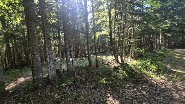 55.4AC Fire Rd, Linneus, ME 04730 - view of woods