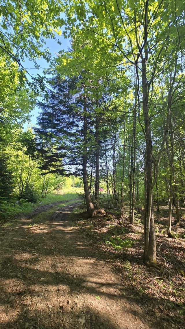 55.4AC Fire Rd, Linneus, ME 04730 - view of nature