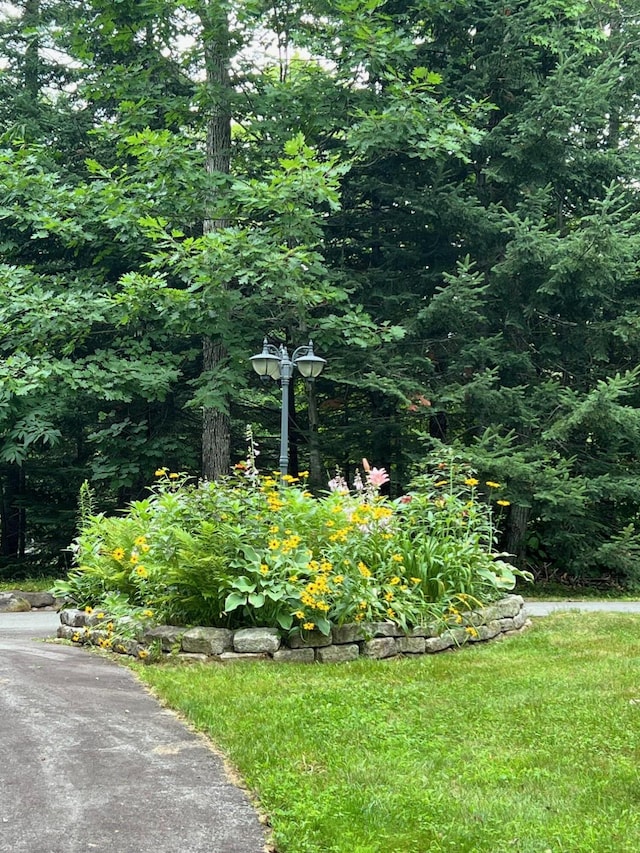 9 Iron Bridge Rd, Kingfield, ME 04947 - photo 11