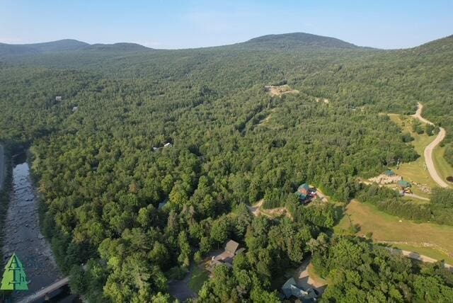 9 Iron Bridge Rd, Kingfield, ME 04947 - photo 45
