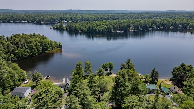 147 Sand Bar Rd, Windham, ME 04062 - bird's eye view of a heavily wooded area and a nearby body of water