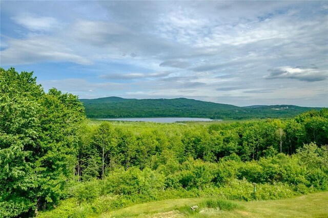 12 Abbott Hill Rd, West Paris, ME 04289 - photo 6