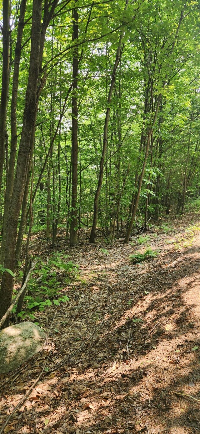 LOT2 Village View St, Wilton, ME 04294 - photo 4