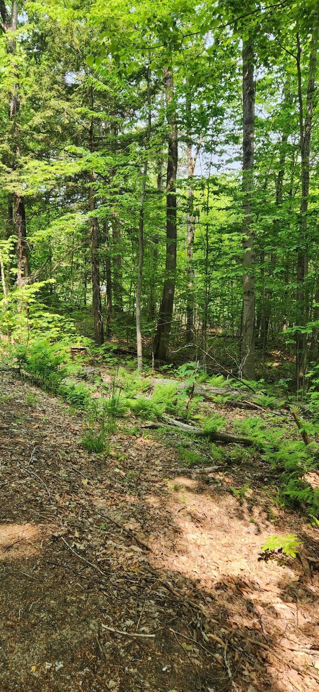 LOT2 Village View St, Wilton, ME 04294 - photo 5