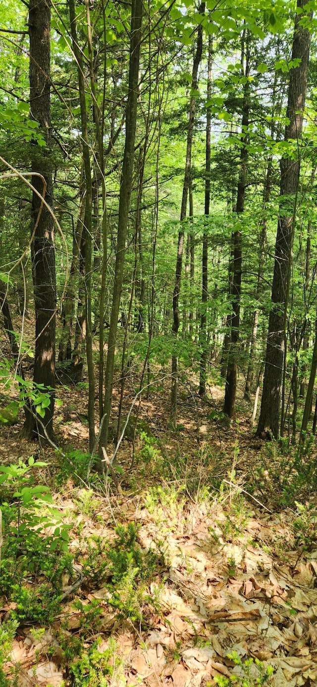 LOT2 Village View St, Wilton, ME 04294 - photo 8