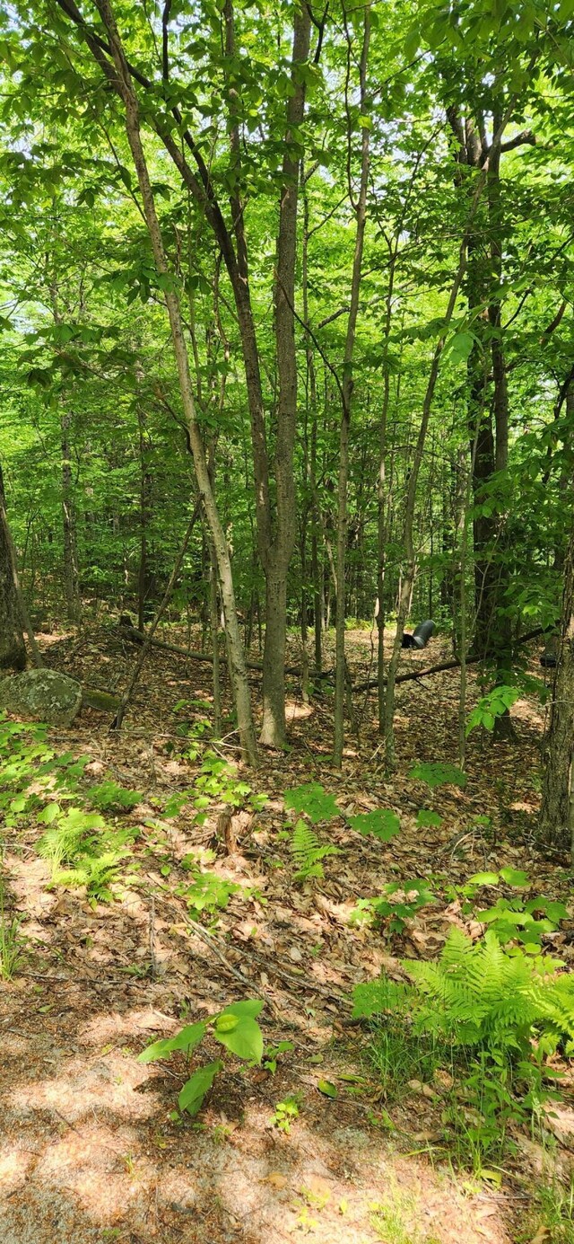 LOT2 Village View St, Wilton, ME 04294 - photo 7