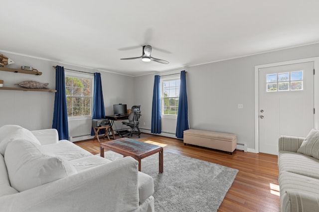 27 Seaside Ave, Saco, ME 04072 - living room featuring plenty of natural light, a ceiling fan, baseboard heating, light wood finished floors, and crown molding