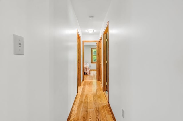 60 Evergreen Dr, Hermon, ME 04401 - corridor with light wood-style flooring